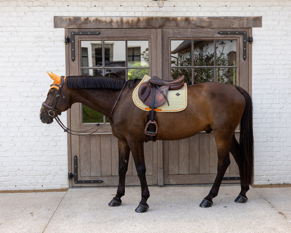 Nauszniki klasyczne Kentucky Horsewear Velvet Printing