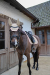Czaprak ujeżdżeniowy Kentucky Horsewear Softshell Onion Quilt