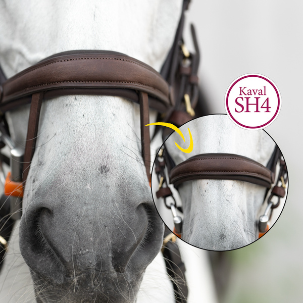 Ogłowie z nachrapnikiem kombinowanym Kavalkade Caliano