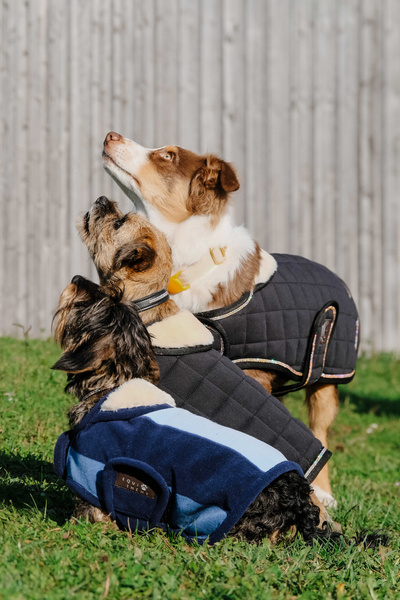 Derka polarowa dla psa EQUITHÈME Confortec