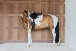 Czaprak wszechstronny Kentucky Horsewear Wave 