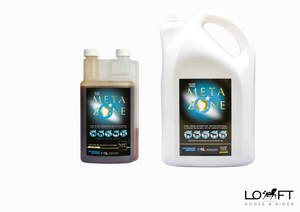 Suplement w płynie organizm konia w walce ze stanem zapalnym NAF Metazone Liquid