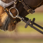 Wodze skórzano-gumowe zapinane na karabińczyk QHP