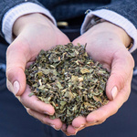 Mieszanka ziołowa wspierająca mikroflorę jelitową koni Stiefel