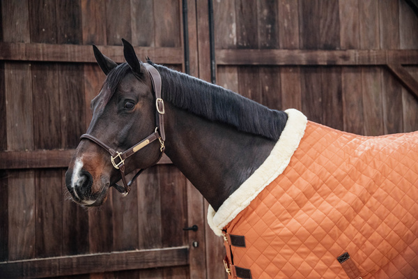 Kantar anatomiczny Kentucky Horsewear Anatomic Leather Halter