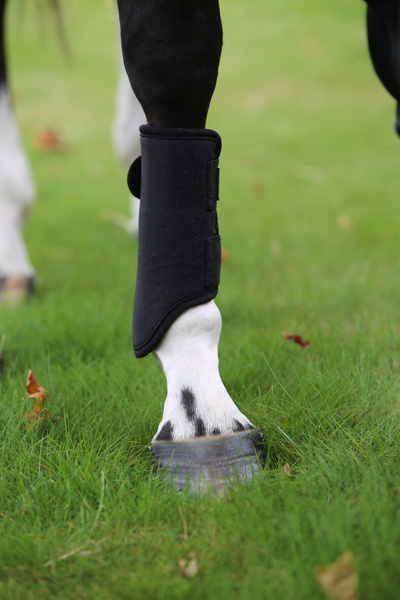 Ochraniacze treningowe Kentucky Horsewear Turnout Boots 3D Spacer - przody