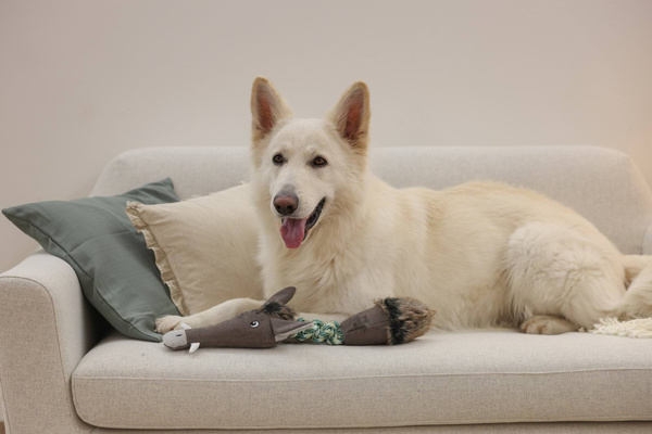 Zabawka dla psa Kerbl - dzik