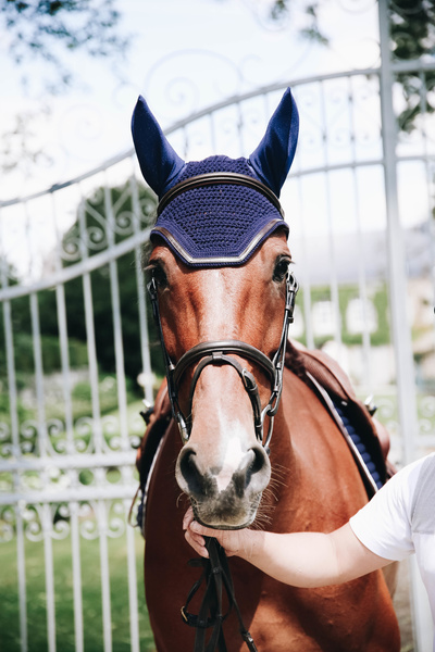 Nauszniki klasyczne Kentucky Horsewear Wellington Leather