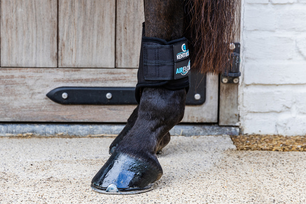 Ochraniacze crossowe z futrem Kentucky Horsewear Eventing Boots 3D Air Flow Skin Friendly Short - tylne
