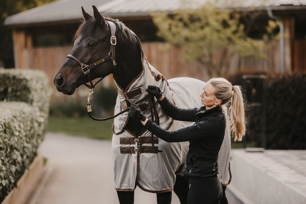 Kantar anatomiczny Kentucky Horsewear Anatomic Leather Halter