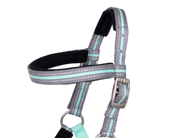 Kantar źrebięcy QHP Flore