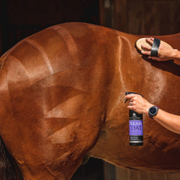 Spray nabłyszczający do sierści, grzywy i ogona Carr & Day & Martin Dreamcoat