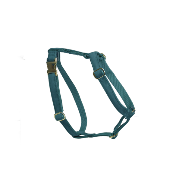 Szelki dla psa Kentucky Dogwear Loop Velvet