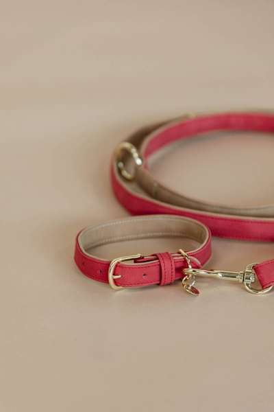 Obroża dla psa Kentucky Dogwear Soft Vegan Leather