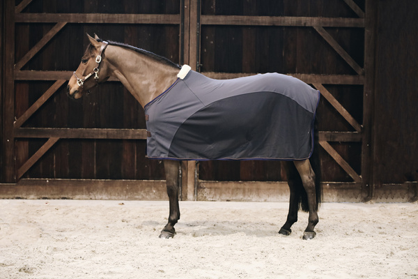 Kantar anatomiczny Kentucky Horsewear Anatomic Leather Halter