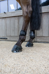 Ochraniacze tylne Kentucky Horsewear Young Horse TPU