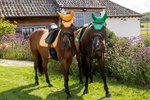 Czaprak ujeżdżeniowy Kentucky Horsewear Velvet Printing