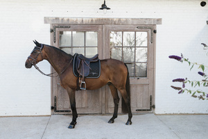 Czaprak ujeżdżeniowy Dy'on Diamond HO22M