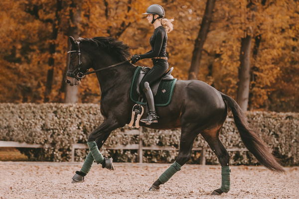 Czaprak ujeżdżeniowy Kentucky Horsewear Velvet Pearls
