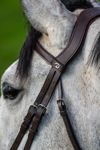 Ogłowie z nachrapnikiem kombinowanym Dy'on La Cense CEICAA