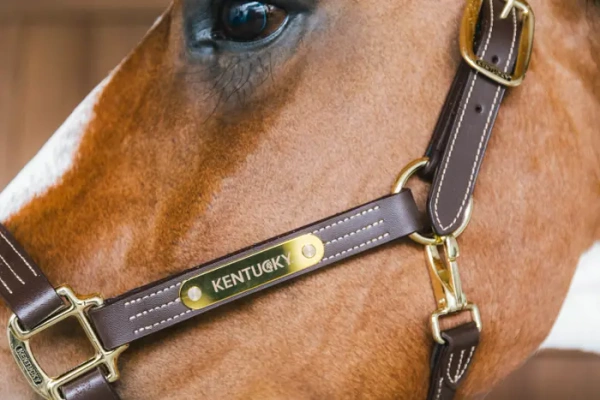 Kantar ze skóry syntetycznej Kentucky Horsewear Leather Halter Wellington