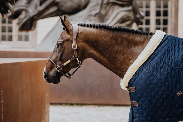 Kantar anatomiczny Kentucky Horsewear Anatomic Leather Halter