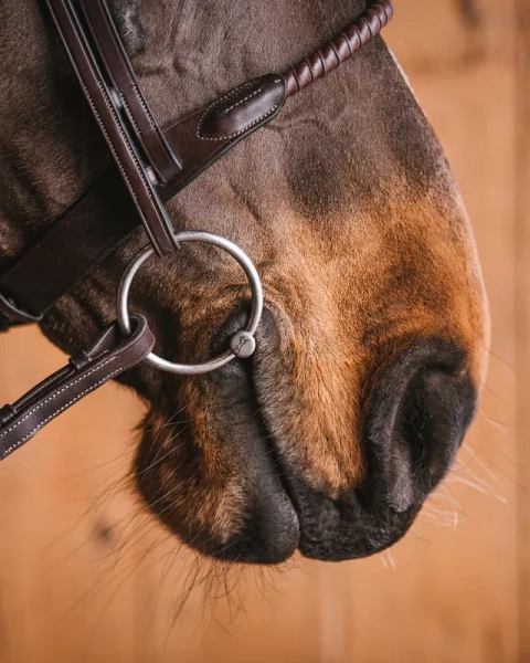 Wędzidło zwykłe FAGER Emil Titanium - podwójnie łamane