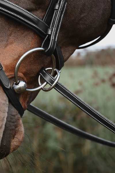 Wodze gumowe ze stoperami Dy'on Working Collection WO05Z