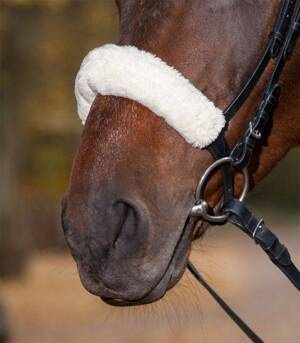 Futerko na nachrapnik lub potylicę Waldhausen