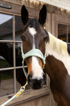 Kantar dla konia Kentucky Horsewear Velvet