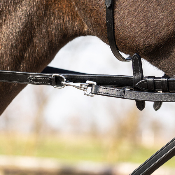 Wodze Thiedemanna QHP