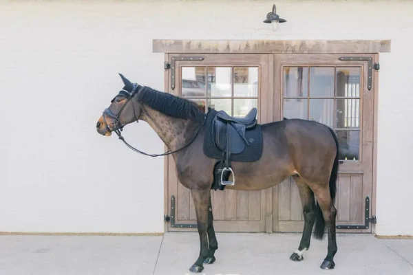 Czaprak ujeżdżeniowy Kentucky Horsewear Metal Chain