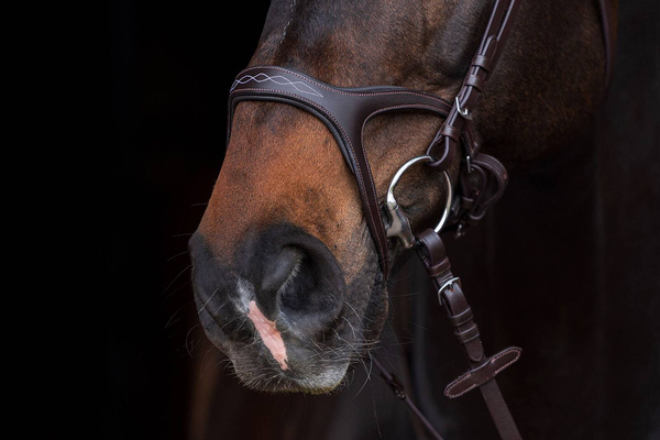 Ogłowie anatomiczne HKM Anatomic Sports