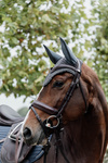 Nauszniki klasyczne Kentucky Horsewear Wellington Stone & Pearl