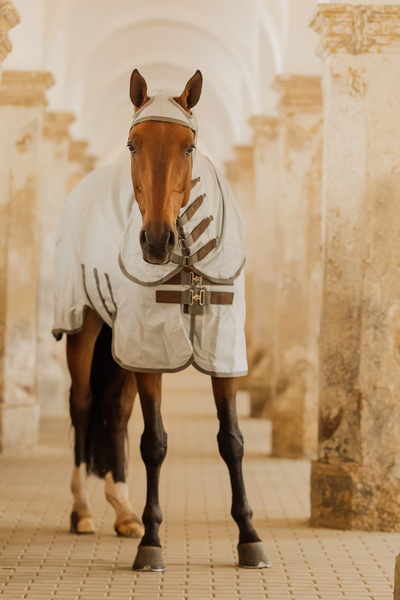 Derka siatkowa przeciw owadom z kapturem dla koni z egzemą Kentucky Horsewear Eczema Rug