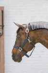 Kantar bezpieczny Kentucky Horsewear Breakaway