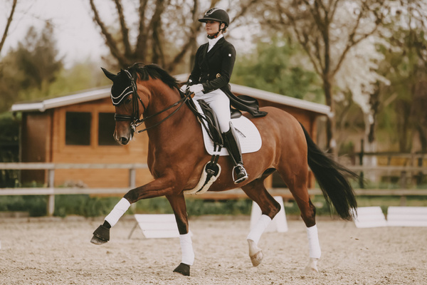 Owijki polarowe Kentucky Horsewear Pearls