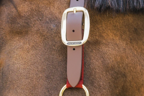 Kantar bezpieczny Kentucky Horsewear Breakaway