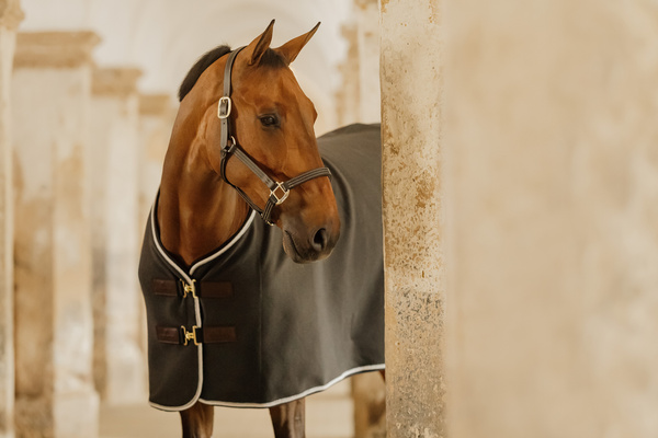 Kantar ze skóry syntetycznej Kentucky Horsewear Leather Halter Wellington