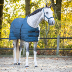 Derka stajenna QHP Collection 200g