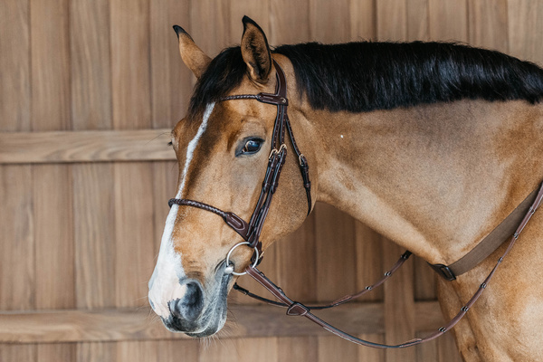 Naczółek pleciony Dy'on D Collection DY02R