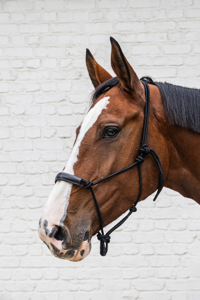 Kantar sznurkowy Grooming Deluxe