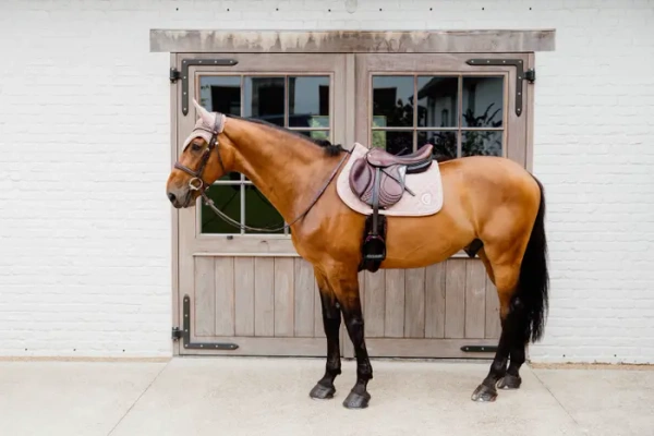 Czaprak wszechstronny Kentucky Horsewear Onion Quilt 3D Logo