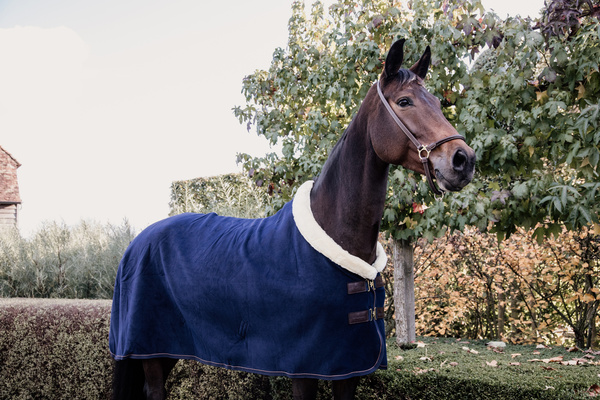 Kantar pielęgnacyjny ze skóry syntetycznej Kentucky Horsewear Leather Grooming Halter