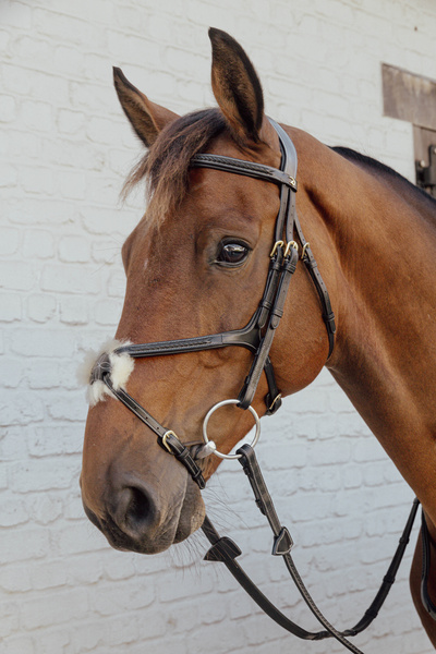 Nachrapnik meksykański Dy'on D Collection Plaited DY04V