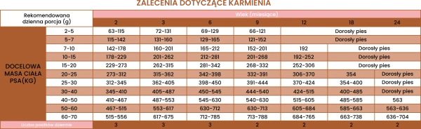 Karma sucha dla szczeniąt Perro JUNIOR - Indyk z królikiem 9kg