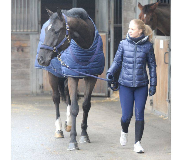 Derka stajenna i do karuzeli Kavalkade Halifax 2in1 400g