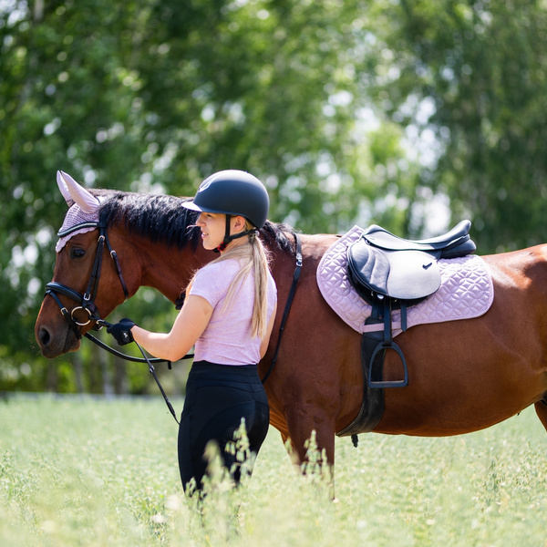 Czaprak wszechstronny York Andrea