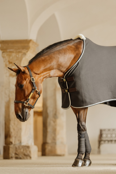 Kantar ze skóry syntetycznej Kentucky Horsewear Leather Halter Wellington