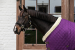 Derka stajenna Kentucky Horsewear Show Rug 160g